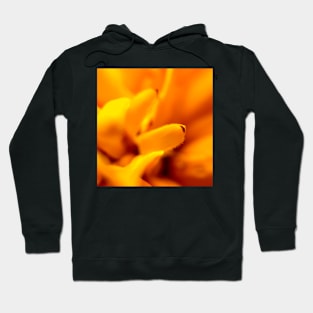 Flower bloom in macro Hoodie